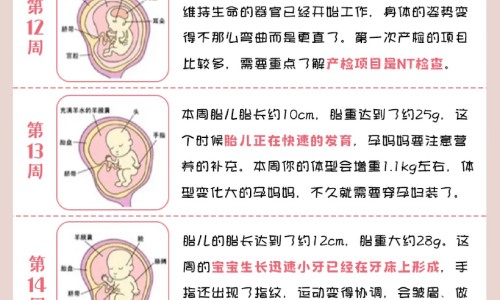 哺乳期高血压吃什么食物降压网- 哺乳期高血压吃什么食物降压窍门知识,分享哺乳期血压高吃什么药不影响宝宝