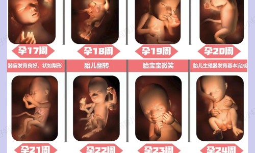 哺乳期高血压吃什么食物降压网- 哺乳期高血压吃什么食物降压窍门知识,分享哺乳期血压高吃什么药不影响宝宝